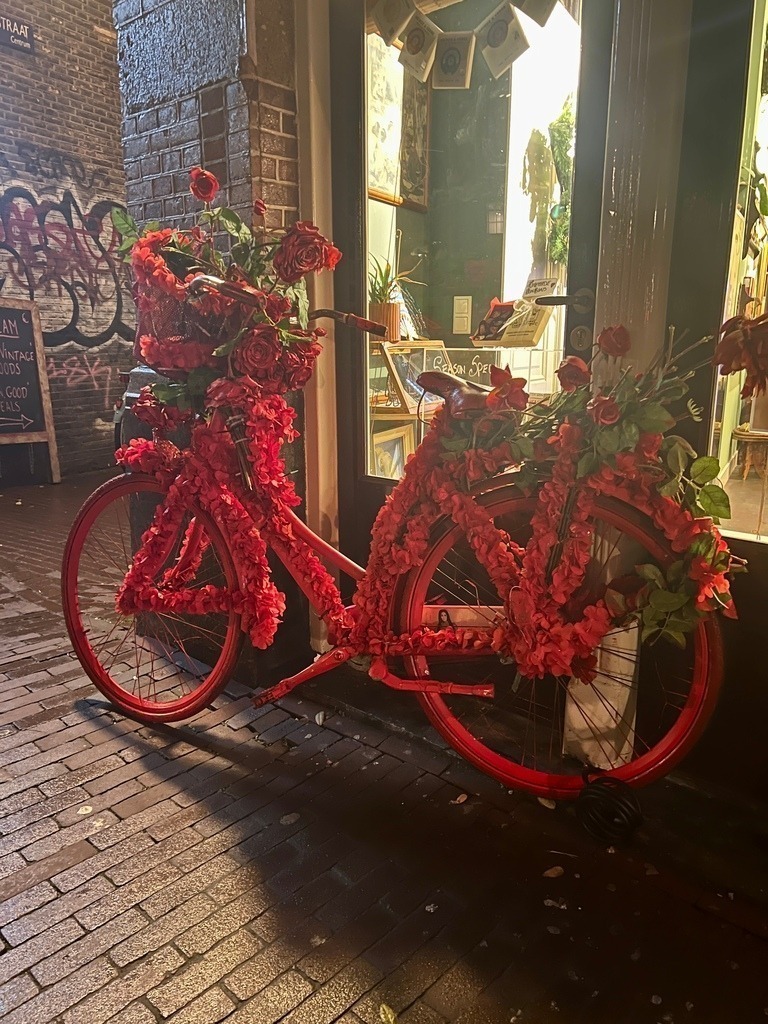 IMG_9061 | ace - Realisiert mit Pictrs.com