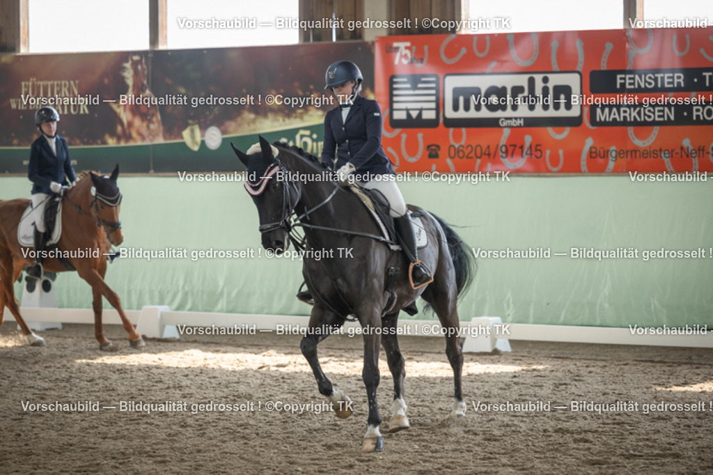 _D5A5812 | Emotionale Pferde- & People-Fotografie rund um Heidelberg, Leimen & Umgebung. Natürliche Fotos von Pferd, Mensch & Familie. Jetzt Termin sichern!