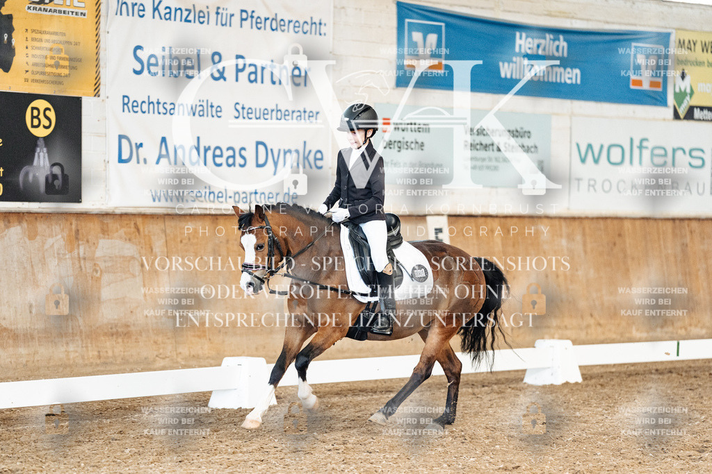 CK900558 | Turnierfotografie Pferdefotografie Trier Rheinland-Pfalz Pferdesport Reitsport Tierfotografie Sportfotografie Pferdevideo Pferdevideografie Equestrianvideography equestrianphotography  - Realisiert mit Pictrs.com