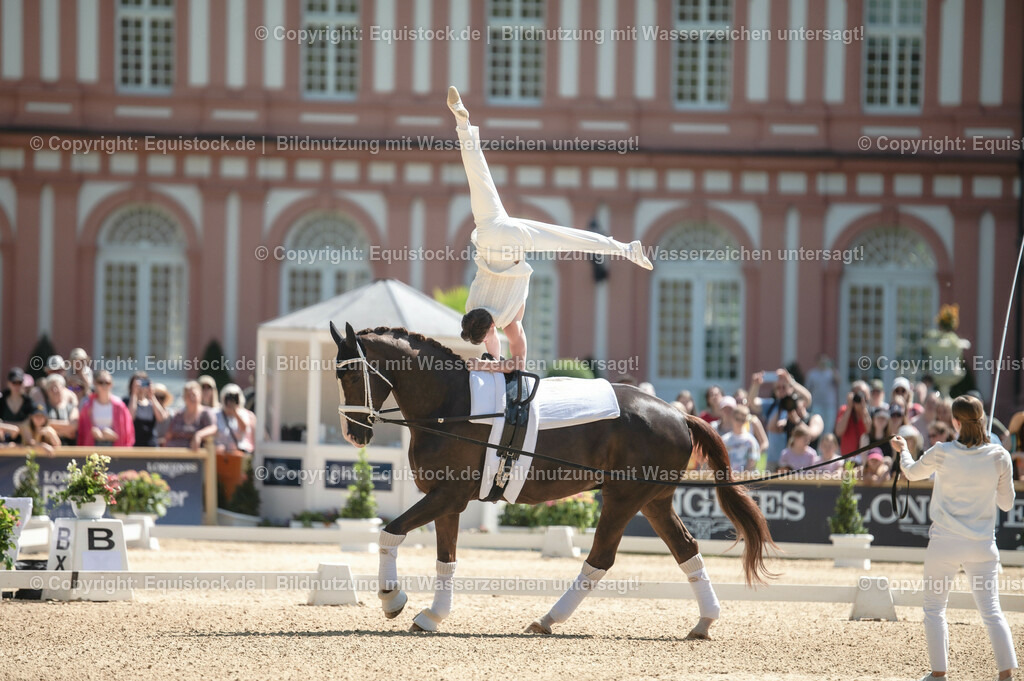20230528_Voltigieren_NASPA_0071 | equistock