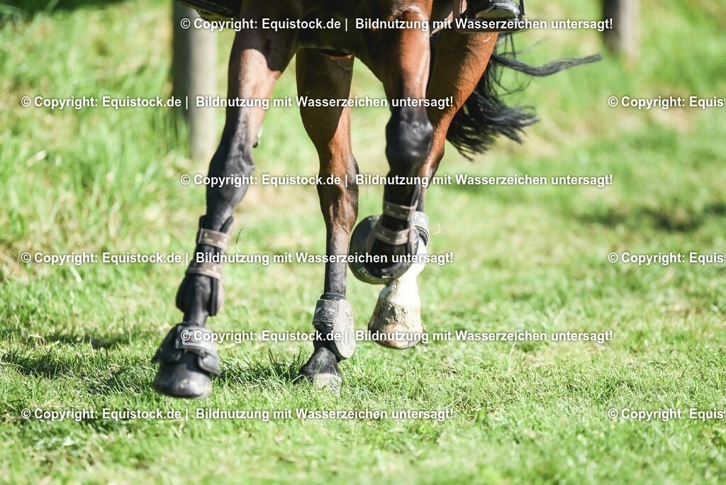 20230909_12_Stilspringen_A_0196 | Foto: Thomas Hartig