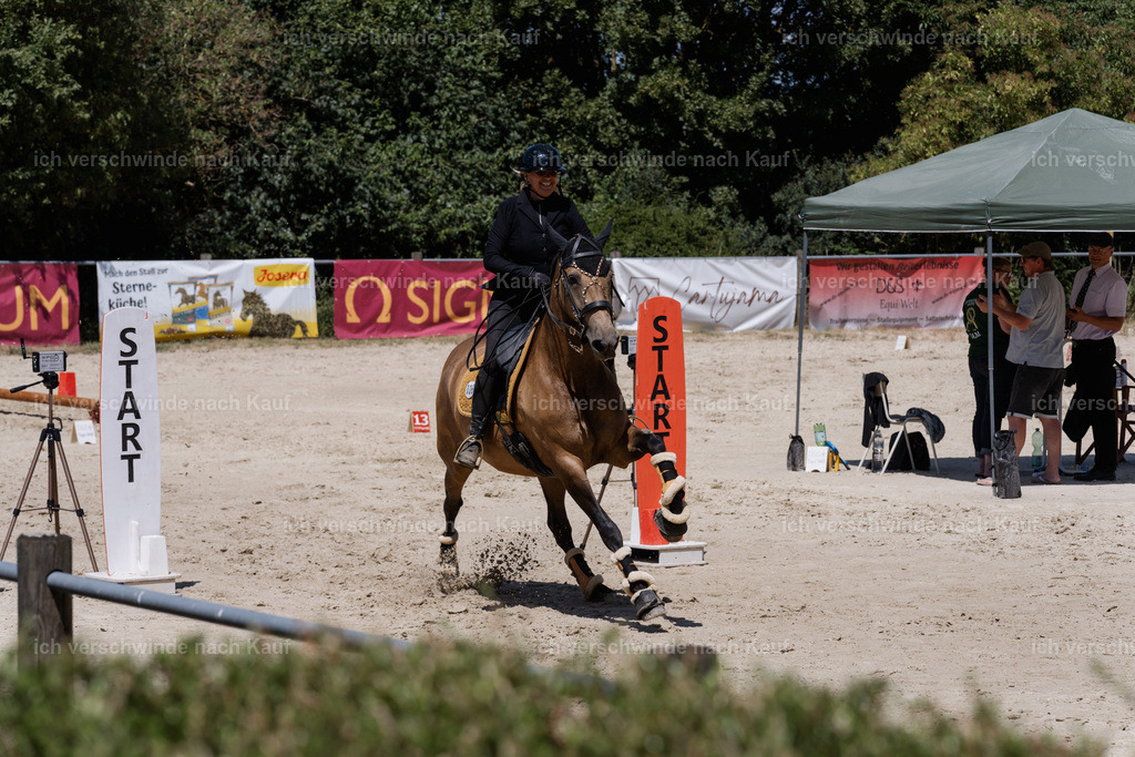 WM_SP_36_SinaFilmArt_IN07707 | working equitationturnier fotograf videograf stoibphotography marixx film working equitation deutschland reitsport turnierfotografie eventfotografie equestrian events
