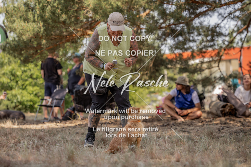 nelerasche_soDD2_44 | nelerasche
