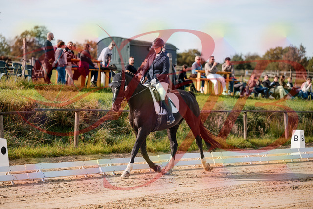2026_10_03_Siefer-Hof_113256_Z63_19444200 | Professionelle Reitsport-, Turnier- und Eventfotografie von Robert Broda. Galerien mit ausgewählten und bearbeiteten Bildern direkt online ansehen und bestellen.