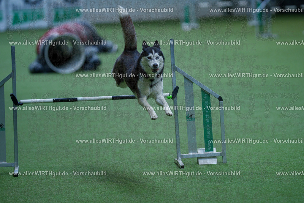 @allesWIRTHgut_Tierfotografie - www.allesWIRTHgut.de - 2604251521-7R505835 | Professionelle Tierfotografie in Mönchengladbach von Daniel Wirth (allesWIRTHgut). Liebevolle & natürliche Bilder von Hunden & Katzen für unvergessliche Erinnerungen.