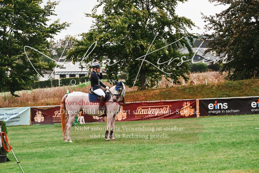 DSC_6012 | Pferde- und Turnierfotografie in Westsachsen. Pferdeportraits, Auftragszeichnungen und intuitive Kunst.