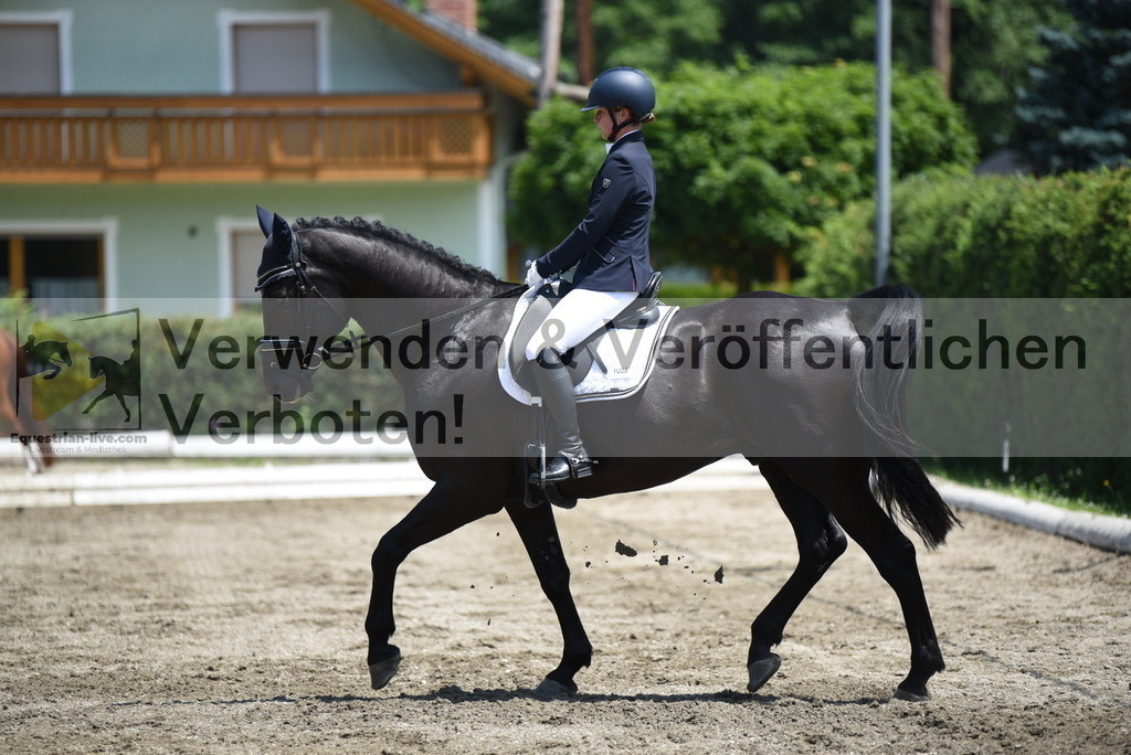 DSC_0089 | equestrian-live-com