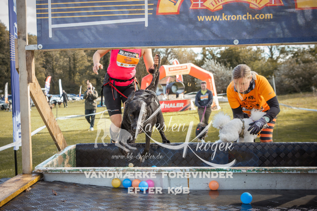 1307_ZZ99233-2 | kk-dogfotos