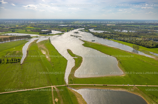 Wesel240402168BislicherInsel-Wesel | Luftbild, NSG Naturschutzgebiet Bislicher Insel Auenlandschaft, Fluss Alter Rhein, Bäume im Wasser und Waldgebiet, Fernsicht, Ginderich, Wesel, Niederrhein, Nordrhein-Westfalen, Deutschland