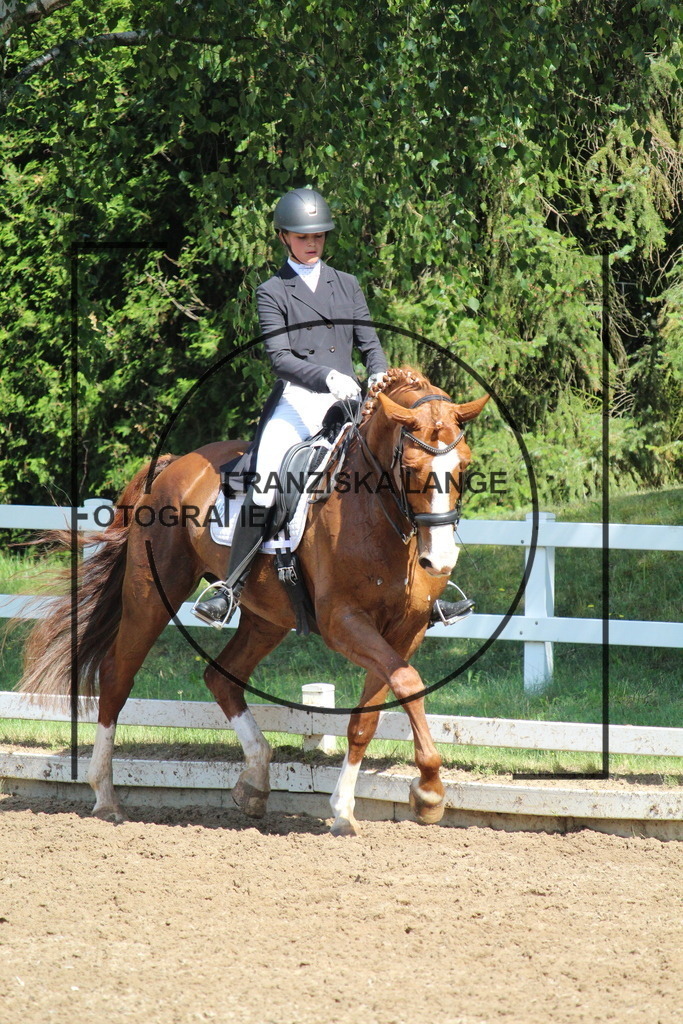 IMG_7136 | franziskalange - Realisiert mit Pictrs.com