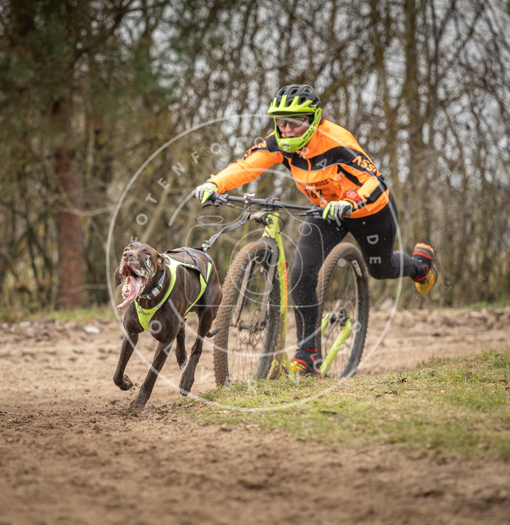 Pfotenfotografie_DV3A9557 | Hundefotografie, Tierfotograf, Pfotenfotografie, Fotoshooting Hund, Hunde Portrait, Hundesport, Hundeportraits, Heideshooting, Hunde, Sportfotograf, Hundefotograf, Turnierhundsport, THS,  - Realisiert mit Pictrs.com
