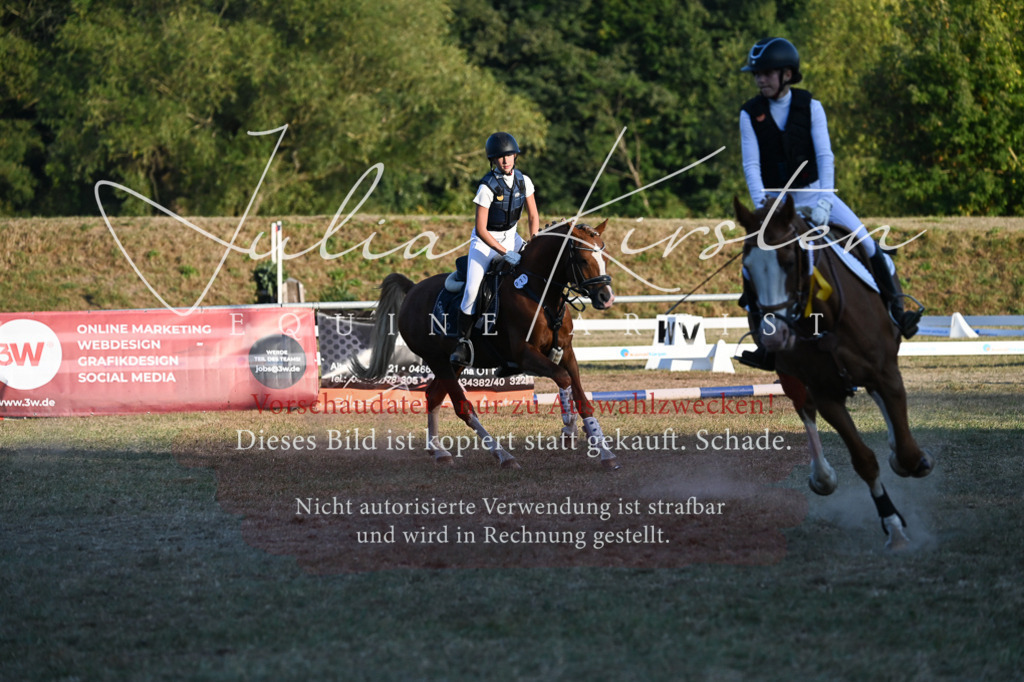 DSC_9294 | Pferde- und Turnierfotografie in Westsachsen. Pferdeportraits, Auftragszeichnungen und intuitive Kunst.