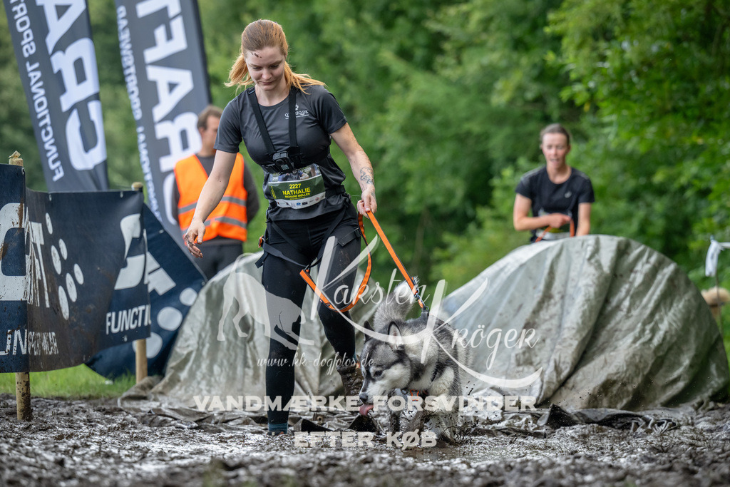 1157_ZZ90472 | kk-dogfotos