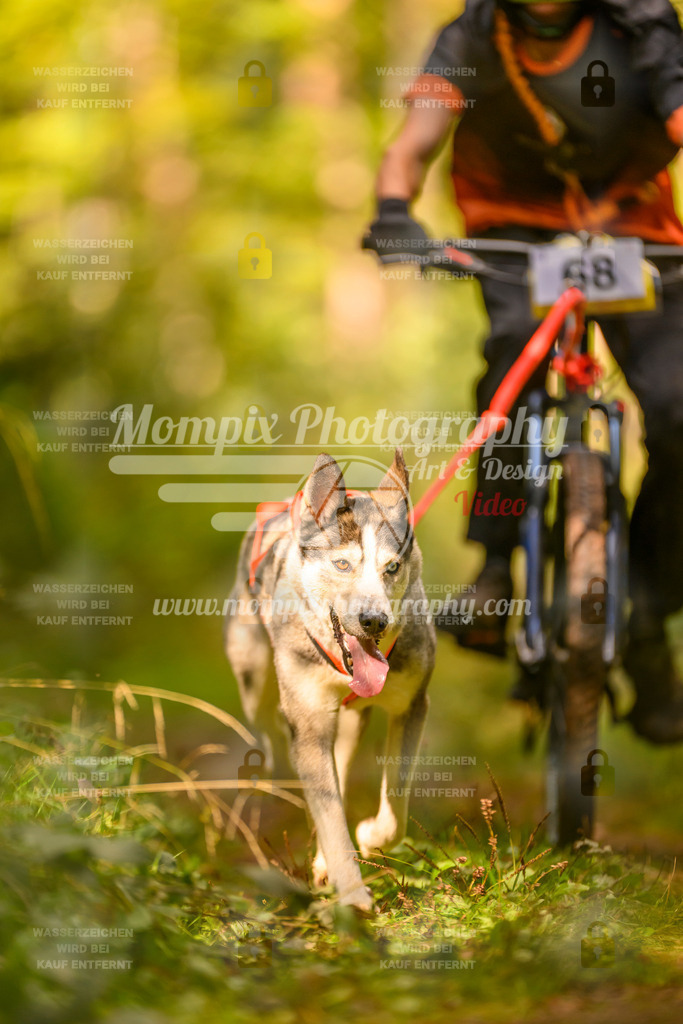MompixPhotography_Yens2025_B2-105 | PayLife