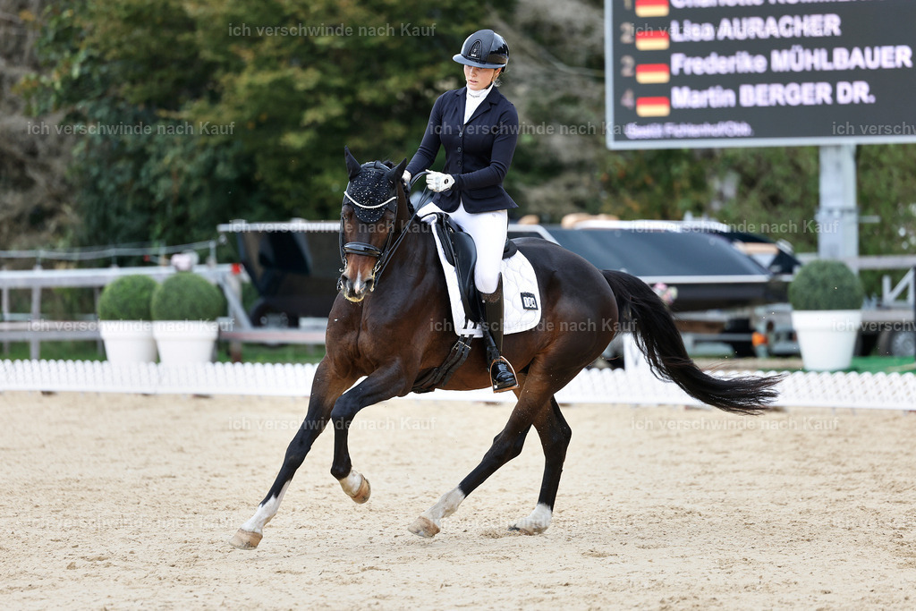 3-104-Dressur M_-StoibPH-2466 | working equitationturnier fotograf videograf stoibphotography marixx film working equitation deutschland reitsport turnierfotografie eventfotografie equestrian events