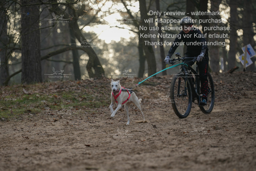 Scooter1-2 | stephaniefillaphotographie - Realisiert mit Pictrs.com