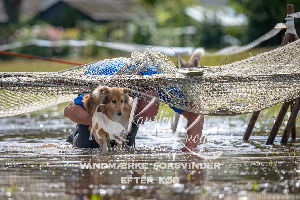 1341_ZZ90613 | kk-dogfotos