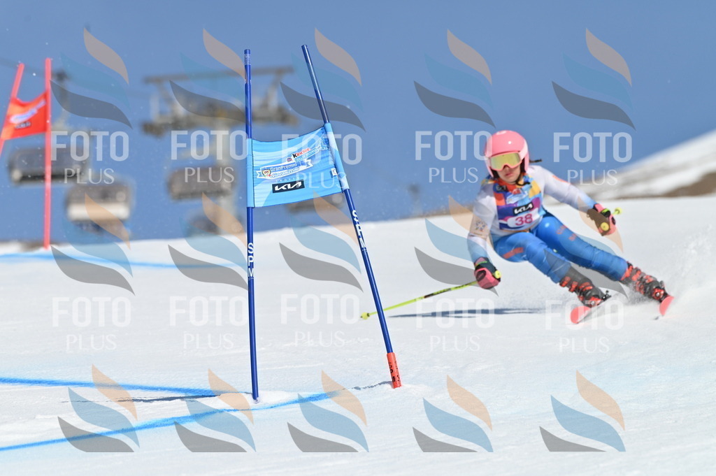 BGV_8310 | holidayphoto