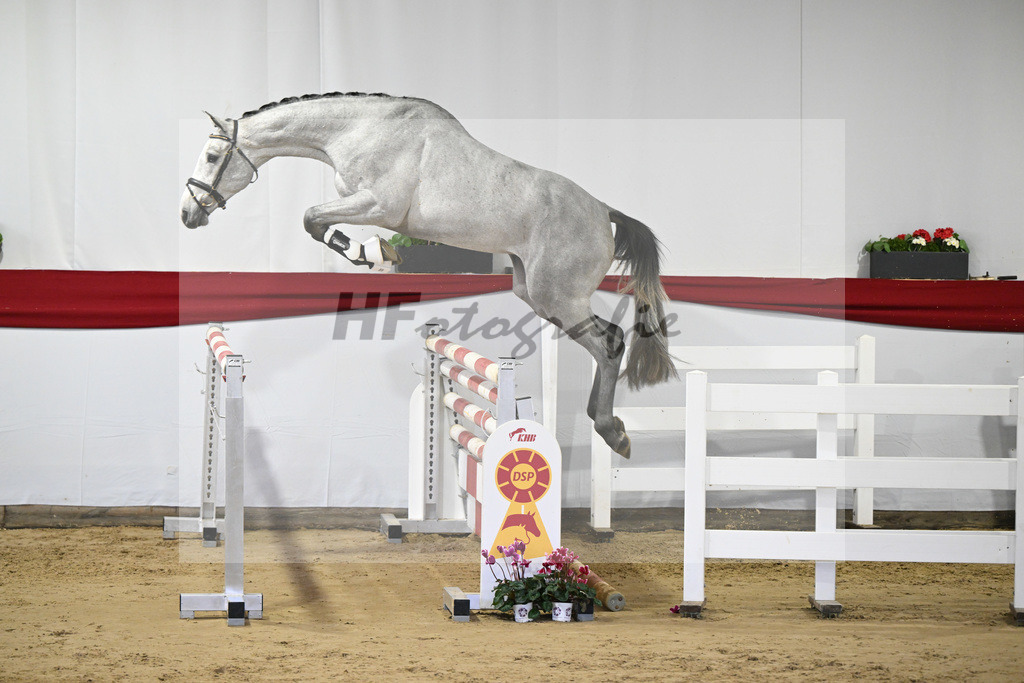 Kat-Nr. 46 v. Clarimo_Hahn u Schleicher_63221137 | hf-fotografie - Realisiert mit Pictrs.com