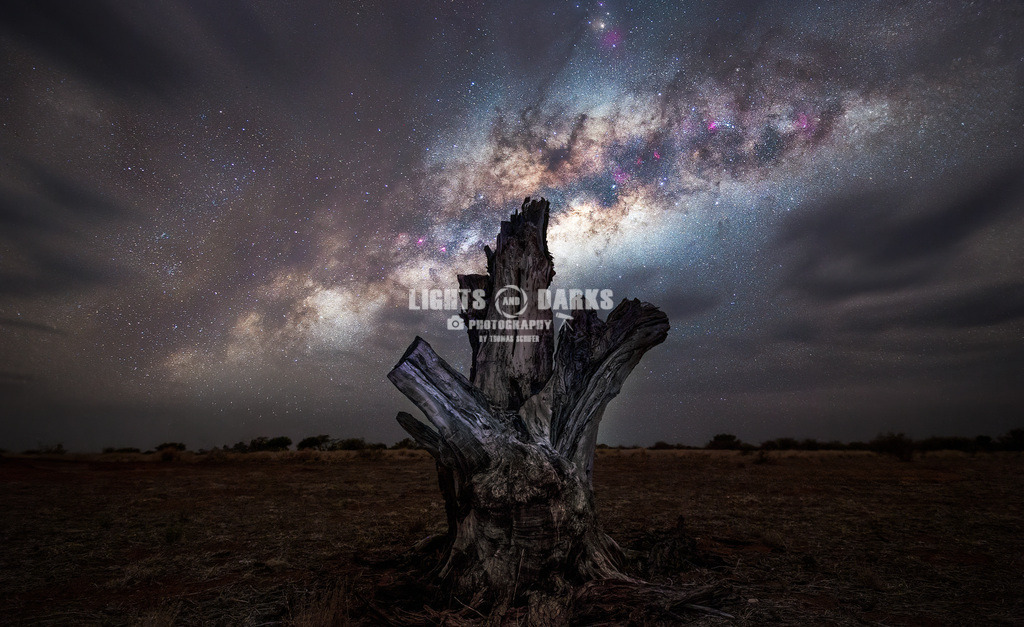 The old tree under ancient light | At one of my first nights in Namibia the clouds finally opened just enough to show me the stars of the Southern hemisphere for the first time!  - Realisiert mit Pictrs.com