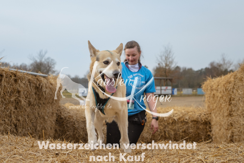 0921_ZZ98071 | kk-dogfotos