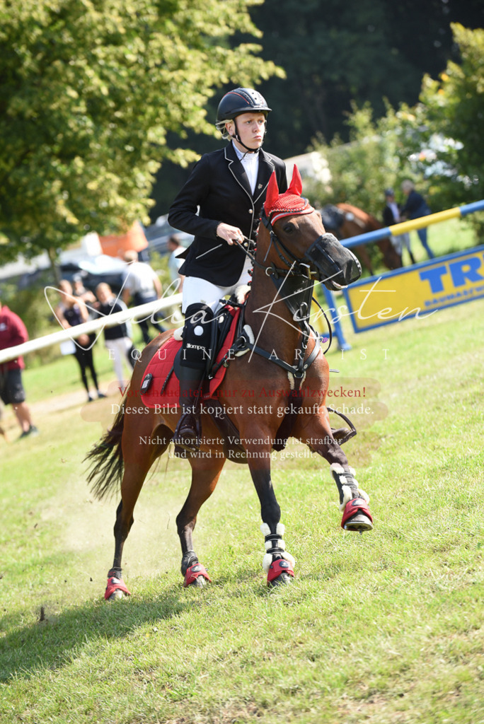 DSC_8956 | Pferde- und Turnierfotografie in Westsachsen. Pferdeportraits, Auftragszeichnungen und intuitive Kunst.