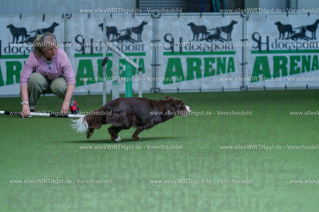@allesWIRTHgut_Tierfotografie - www.allesWIRTHgut.de - 2604251216-7R501245 | Professionelle Tierfotografie in Mönchengladbach von Daniel Wirth (allesWIRTHgut). Liebevolle & natürliche Bilder von Hunden & Katzen für unvergessliche Erinnerungen.