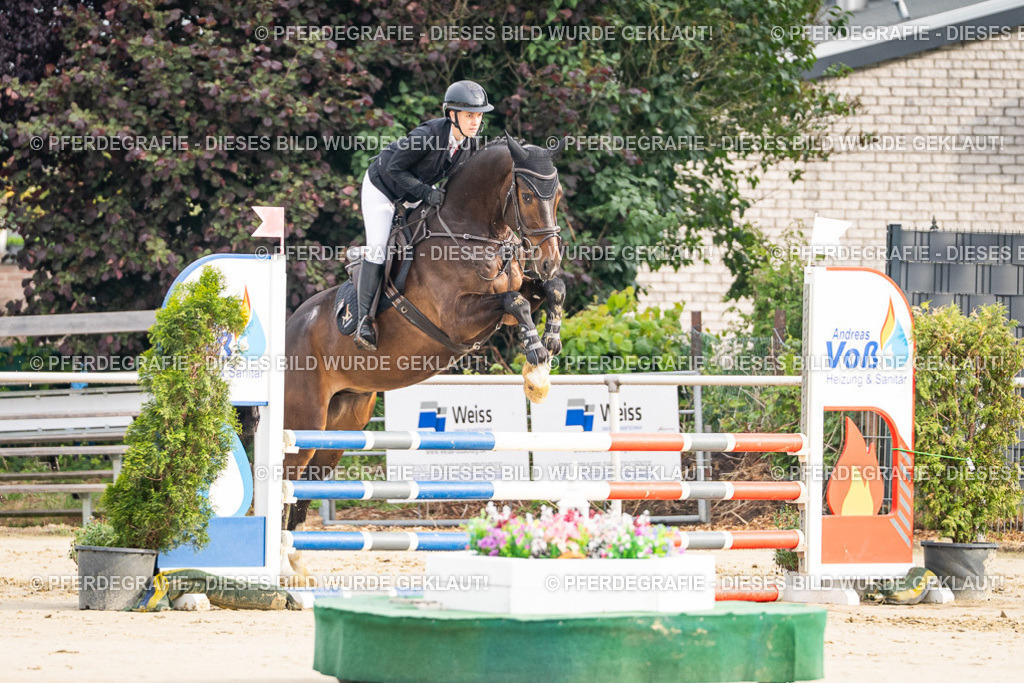 DSC08229 | Pferdegrafie