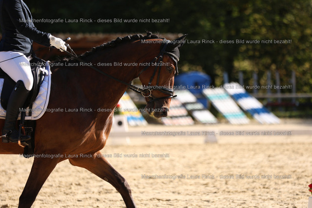 HG9A8982 | laurarinckfotografie - Realisiert mit Pictrs.com