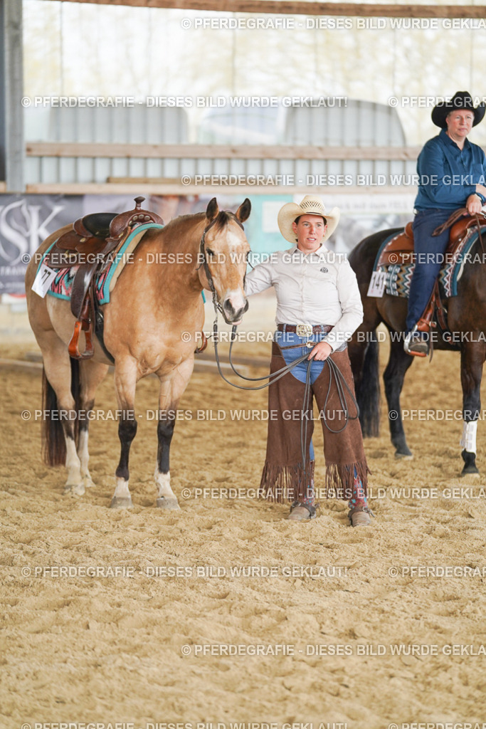 DSC02225 | Pferdegrafie