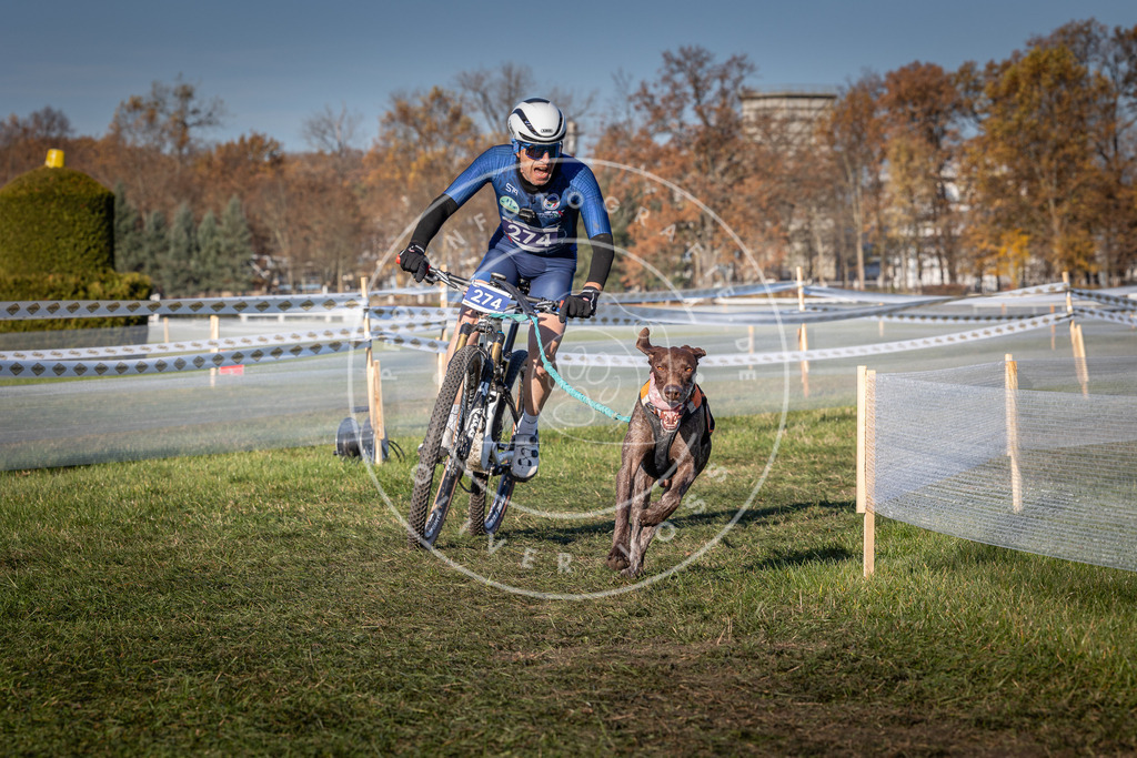 CaniXpix_0L8A5168 | Hundefotografie, Tierfotograf, Pfotenfotografie, Fotoshooting Hund, Hunde Portrait, Hundesport, Hundeportraits, Heideshooting, Hunde, Sportfotograf, Hundefotograf, Turnierhundsport, THS,  - Realisiert mit Pictrs.com