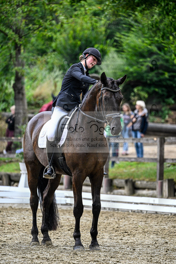 Bissendorfer Reitertage | Entdecke hochwertige Reitturnierfotos von Foto Oger. Professionell, emotional und authentisch – jetzt Lieblingsmomente im Shop bestellen. - Realisiert mit Pictrs.com