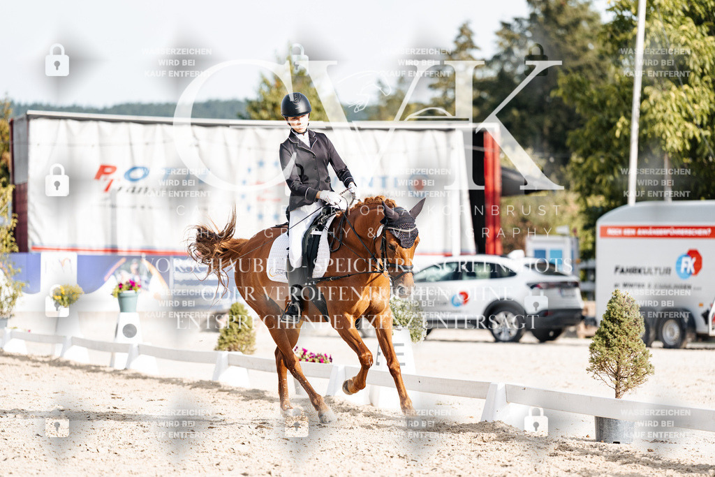 CK904553 | Turnierfotografie Pferdefotografie Trier Rheinland-Pfalz Pferdesport Reitsport Tierfotografie Sportfotografie Pferdevideo Pferdevideografie Equestrianvideography equestrianphotography  - Realisiert mit Pictrs.com