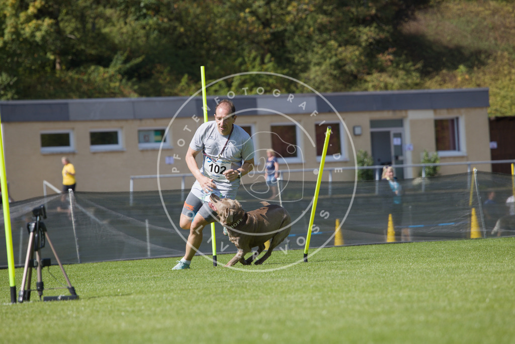 0L8A2598 | Hundefotografie, Tierfotograf, Pfotenfotografie, Fotoshooting Hund, Hunde Portrait, Hundesport, Hundeportraits, Heideshooting, Hunde, Sportfotograf, Hundefotograf, Turnierhundsport, THS,  - Realisiert mit Pictrs.com