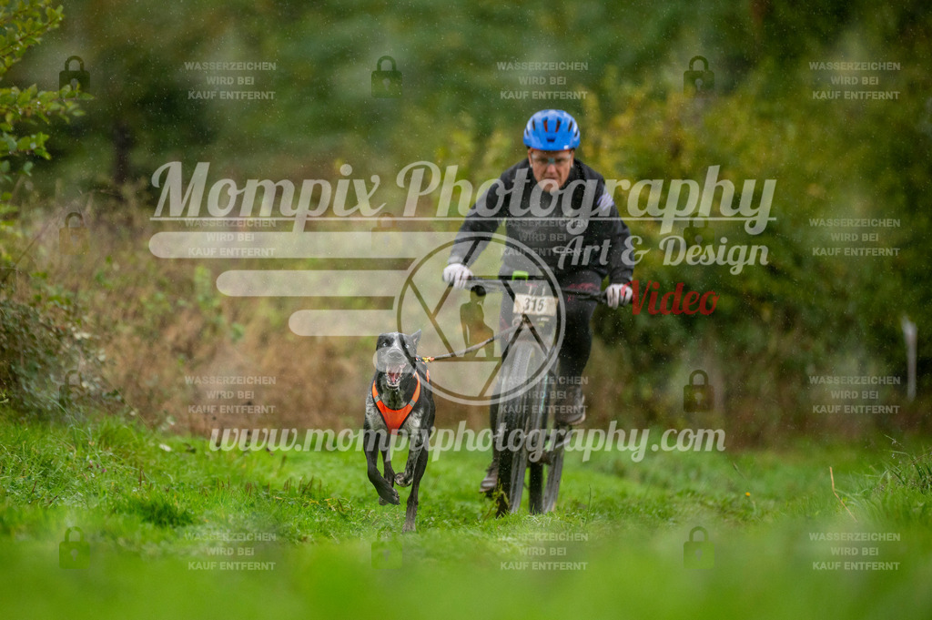 TSB_2023_E6_Bike-47 | PayLife