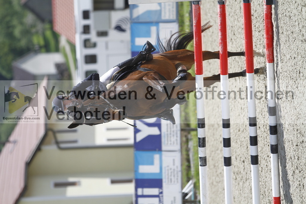 _MG_2087 | equestrian-live-com