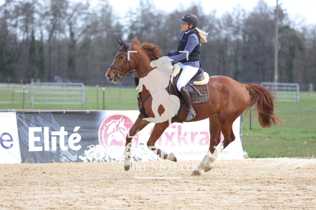 0P6A7165 | Willkommen bei Brunnmayr - Design & Fotografie – Ihrem Spezialisten für Reitturniere und Pferdeveranstaltungen in Oberösterreich, Salzburg und Bayern! Seit über 17 Jahren sind wir leidenschaftlich dabei.