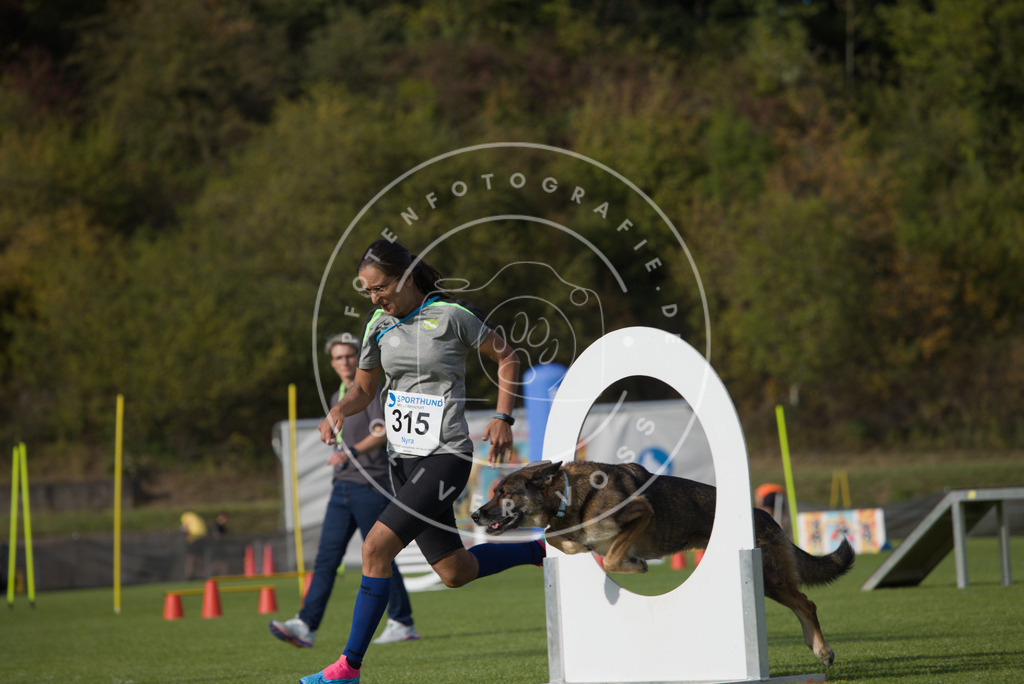 0L8A3843 | Hundefotografie, Tierfotograf, Pfotenfotografie, Fotoshooting Hund, Hunde Portrait, Hundesport, Hundeportraits, Heideshooting, Hunde, Sportfotograf, Hundefotograf, Turnierhundsport, THS,  - Realisiert mit Pictrs.com