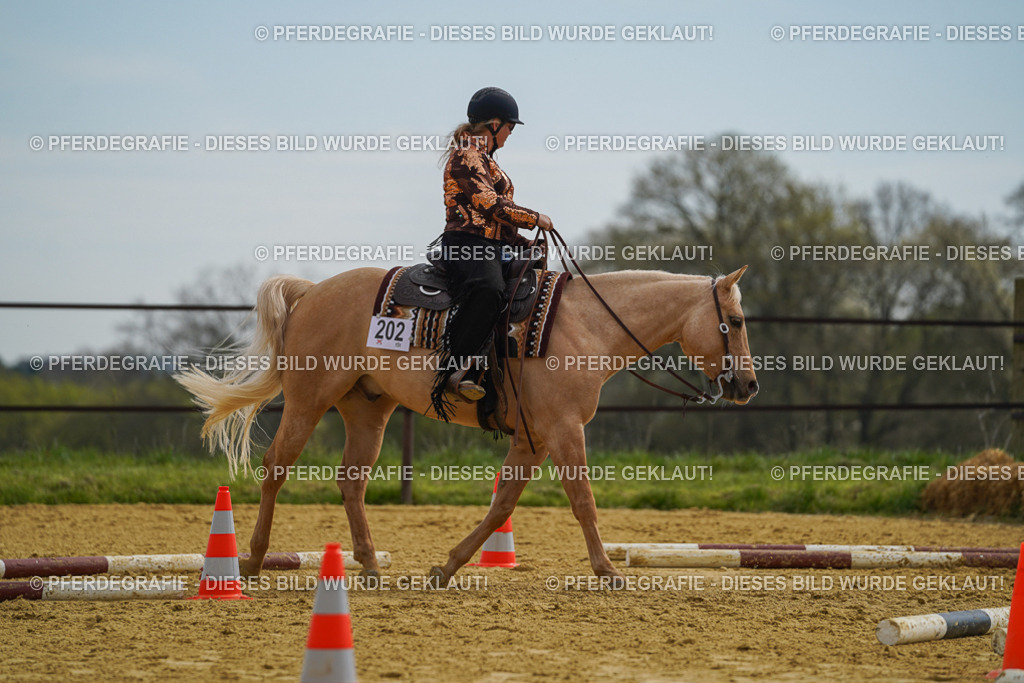 DSC02222 | Pferdegrafie