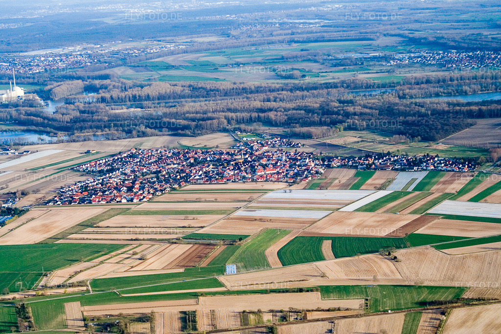 Luftbild: Ortsansicht von Westen im Ortsteil Mechtersheim in Römerberg im Bundesland Rheinland-Pfalz in Deutschland. Foto: IMG_10002.jpg vom 29.03.2008 durch Werner Riehm/FLY-FOTO.de