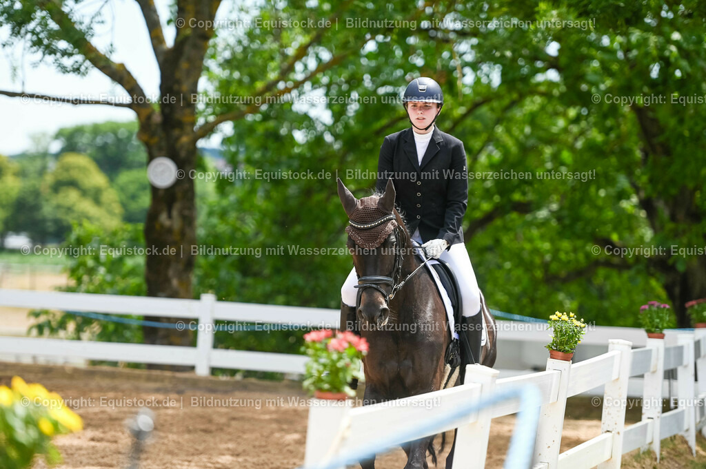 20230715_05_Dressurprüfung Kl.A++_0393 | equistock