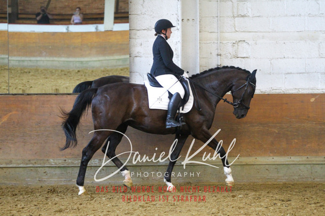 DKP43513 | Turniersportfotografie; Pferdefotografie; Dressurfotografie