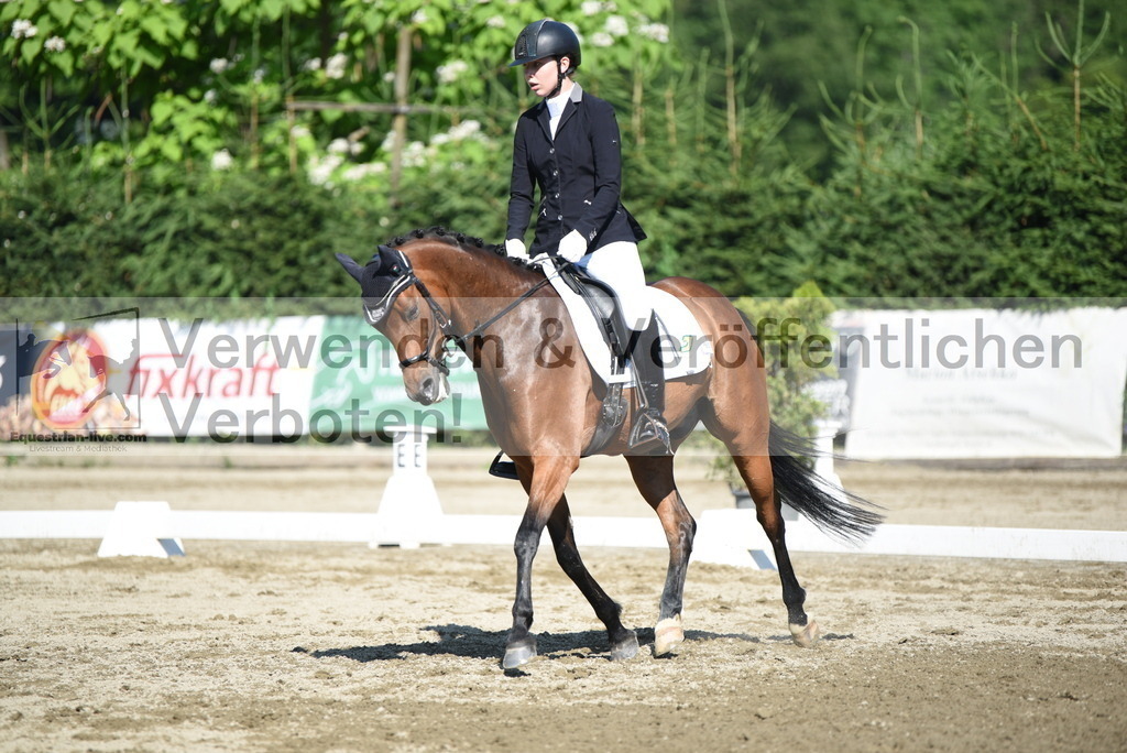 DSC_7633 | equestrian-live-com