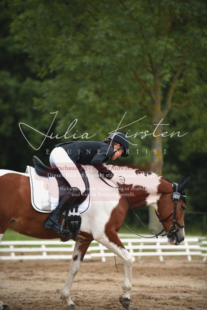 DSC_0194 | Pferde- und Turnierfotografie in Westsachsen. Pferdeportraits, Auftragszeichnungen und intuitive Kunst.