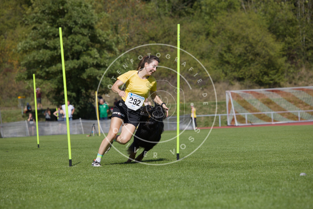 0L8A6863 | Hundefotografie, Tierfotograf, Pfotenfotografie, Fotoshooting Hund, Hunde Portrait, Hundesport, Hundeportraits, Heideshooting, Hunde, Sportfotograf, Hundefotograf, Turnierhundsport, THS,  - Realisiert mit Pictrs.com