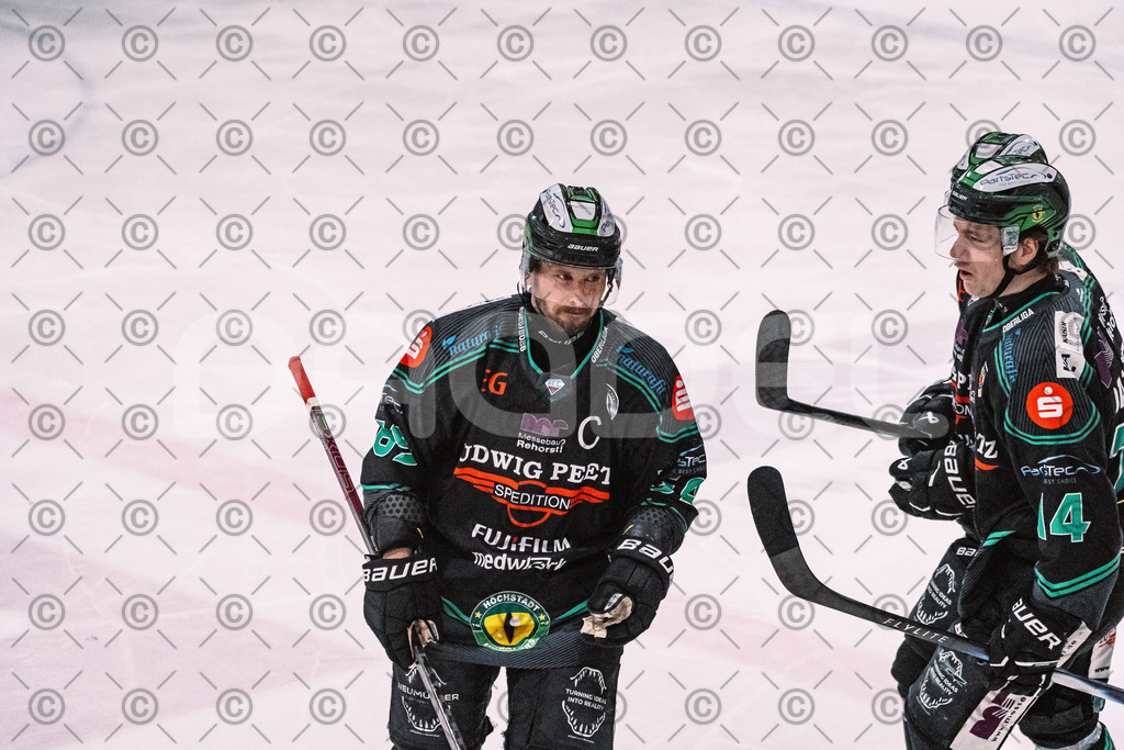 Alligators_vs_Bayreuth_16_01_2026-45 | Höchstadt Alligators Fotogalerie: Eishockey-Action aus Franken. Professionelle Spielfotos, Portraits & Stadionbilder zum Download. Jetzt entdecken! - Realisiert mit Pictrs.com