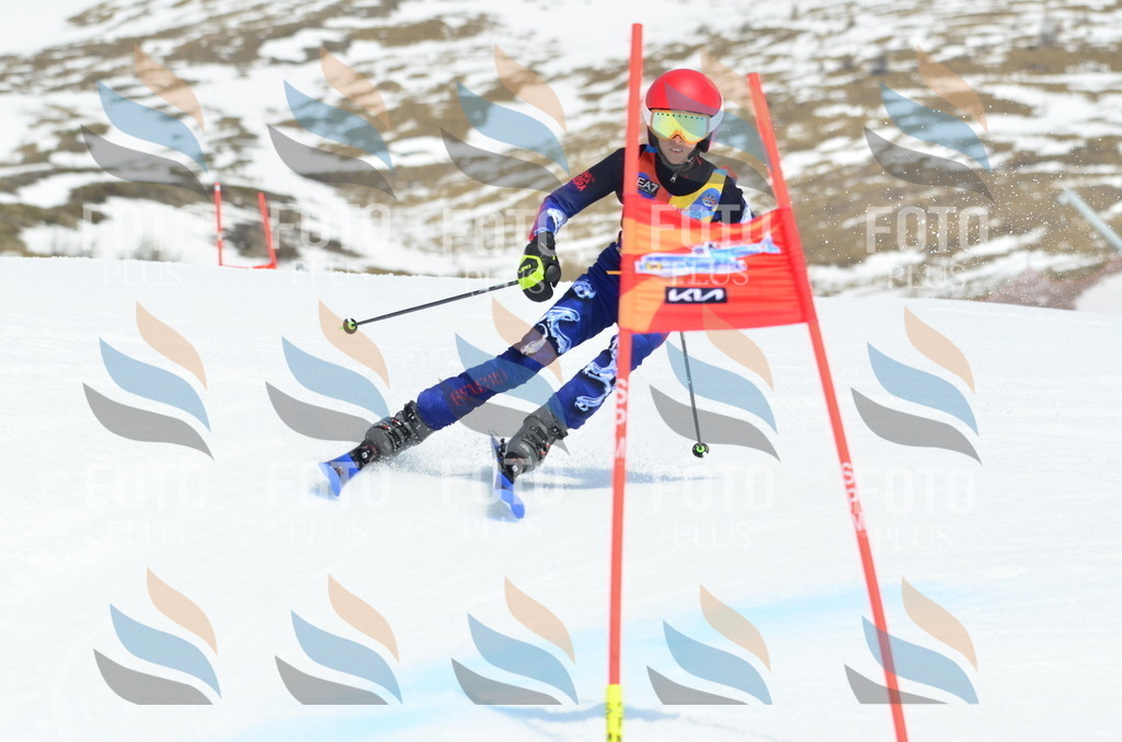 _ELE2530 | holidayphoto