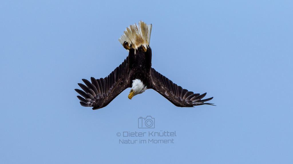 P1628530-LR | Natur im Moment - Realisiert mit Pictrs.com