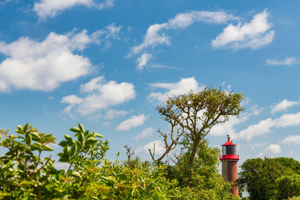 2025_07_09_FEHMARN-LEUCHTTURM+SCHMETTERLINGE_MCP8867 | Hochwertig gedruckte Fotografien für die Wand, als Kalender und zum Verschenken. Hamburg & Norddeutschland und überall wo ich mit der Kamera unterwegs war.