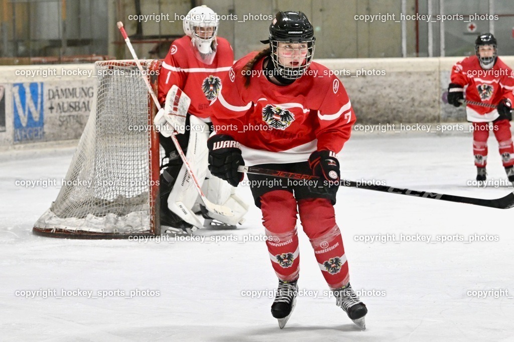 Z9B_3715 | hockey sports photos, Pressefotos, Sportfotos, hockey247, win 2day icehockeyleague, Handball Austria, Floorball Austria, ÖVV, Kärntner Eishockeyverband, KEHV, KFV, Kärntner Fussballverband, Österreichischer Volleyballverband, Alps Hockey League, ÖFB, 